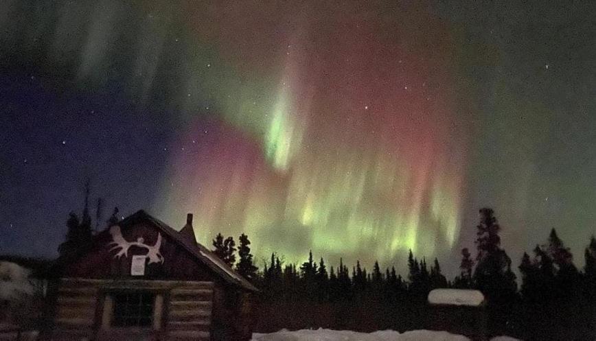 Mount Logan Ecolodge & Retreat Center Haines Junction Esterno foto