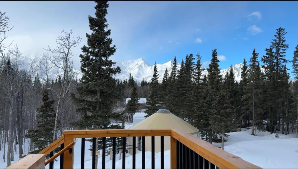 Mount Logan Ecolodge & Retreat Center Haines Junction Esterno foto