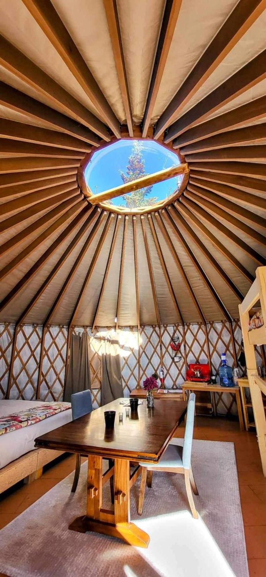 Mount Logan Ecolodge & Retreat Center Haines Junction Esterno foto